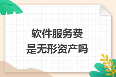 軟件服務(wù)費與無形資產(chǎn) 概念辨析與會計處理